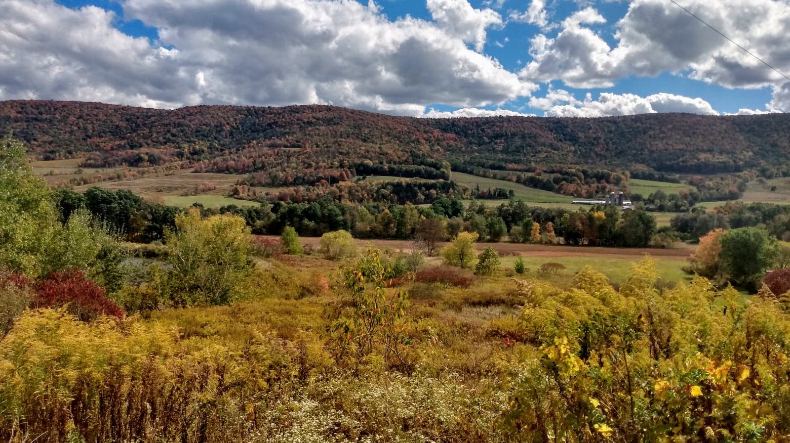 Bradford County fall photo