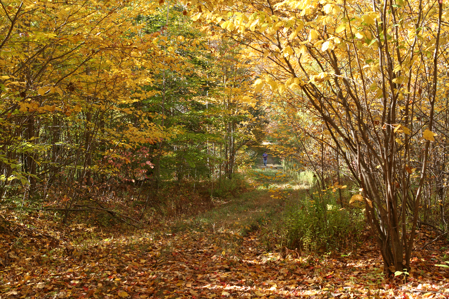 Fall07-ddh_10