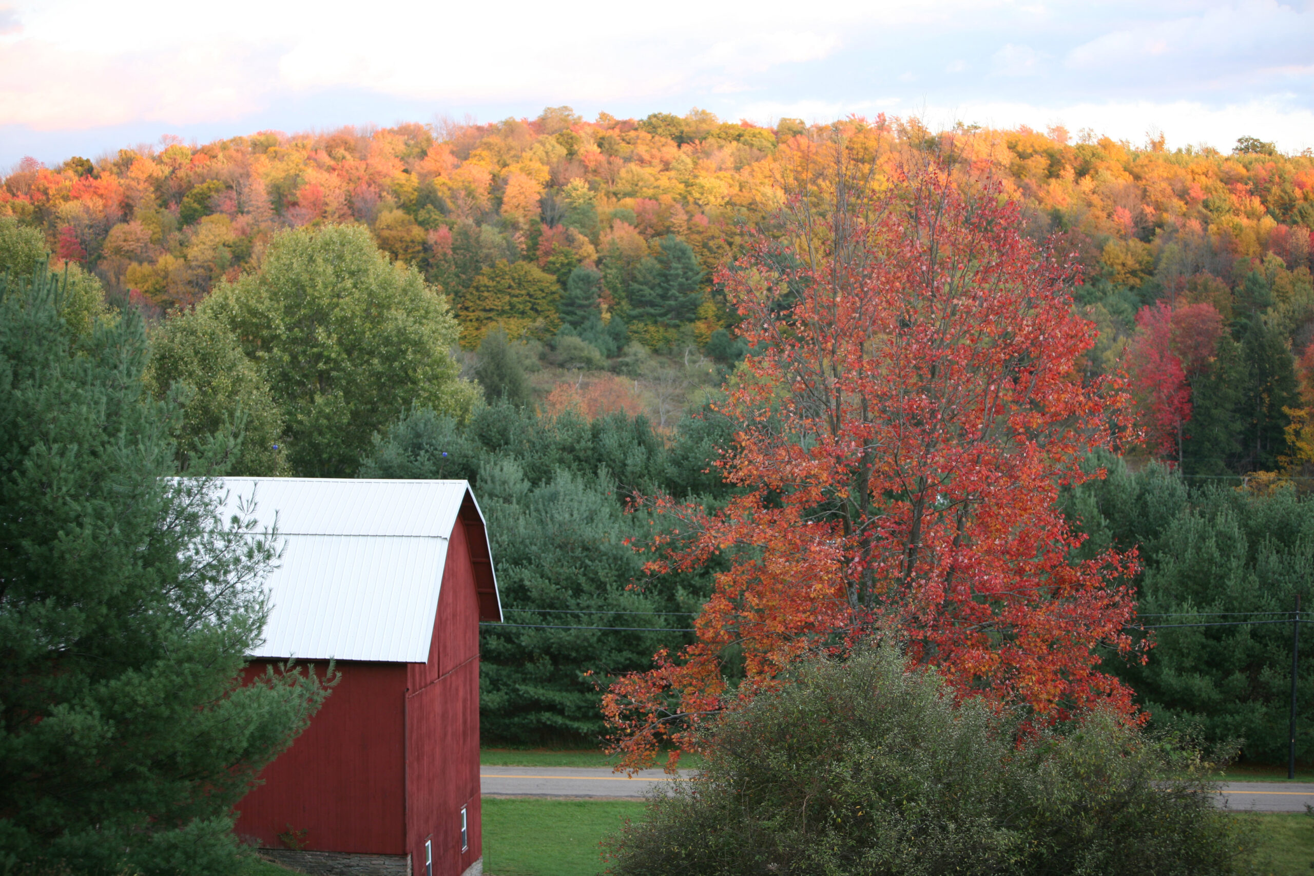 fall foliage in pennsylvania c fall foliage in pennsylvania c