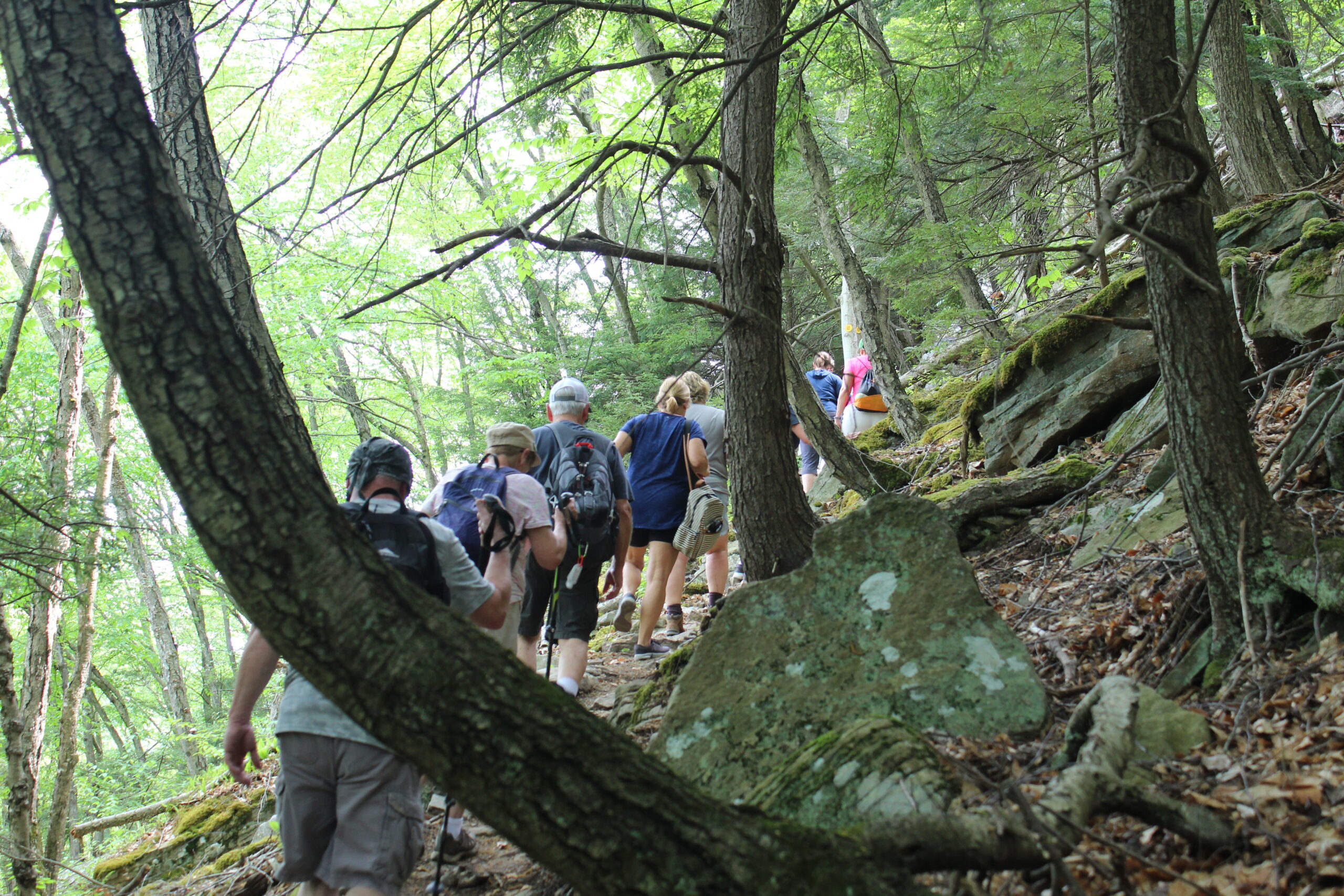 IMG_0480 hiking in the woods