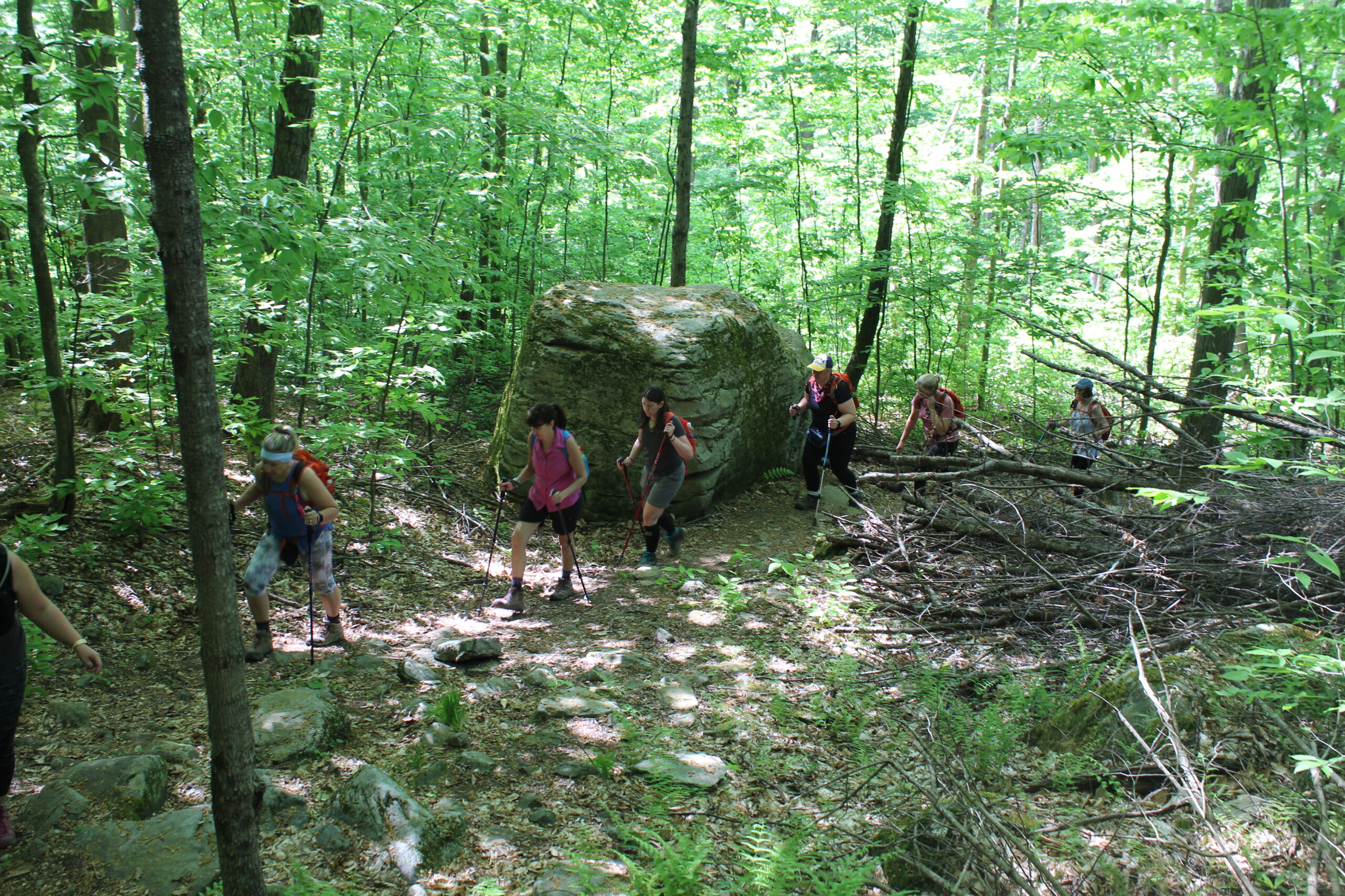 IMG_0556 group hiking