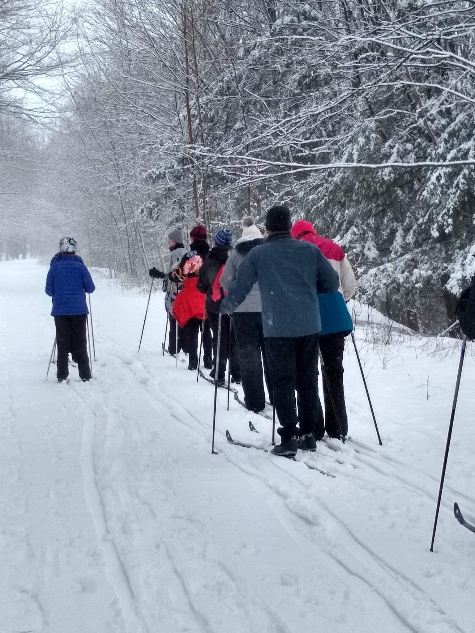 cross country skiing cross country skiing